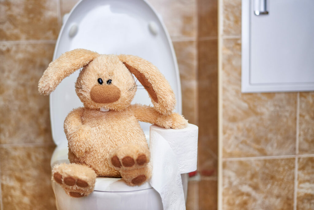 Does Your Home’s Toilet Need Replaced