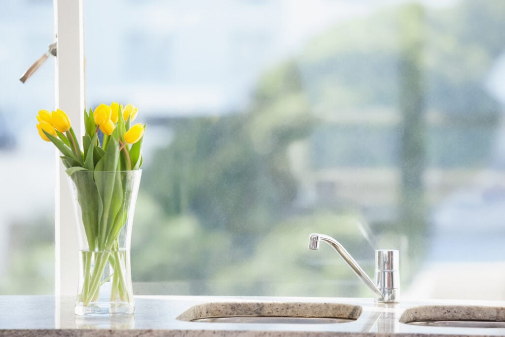 Plumbing Tips for Spring